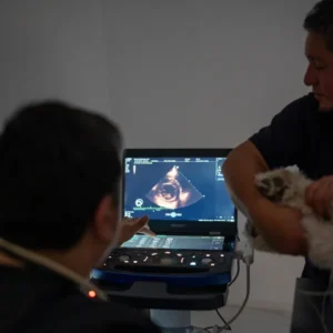 Dr. Marcelo Maldonado – Cardiología