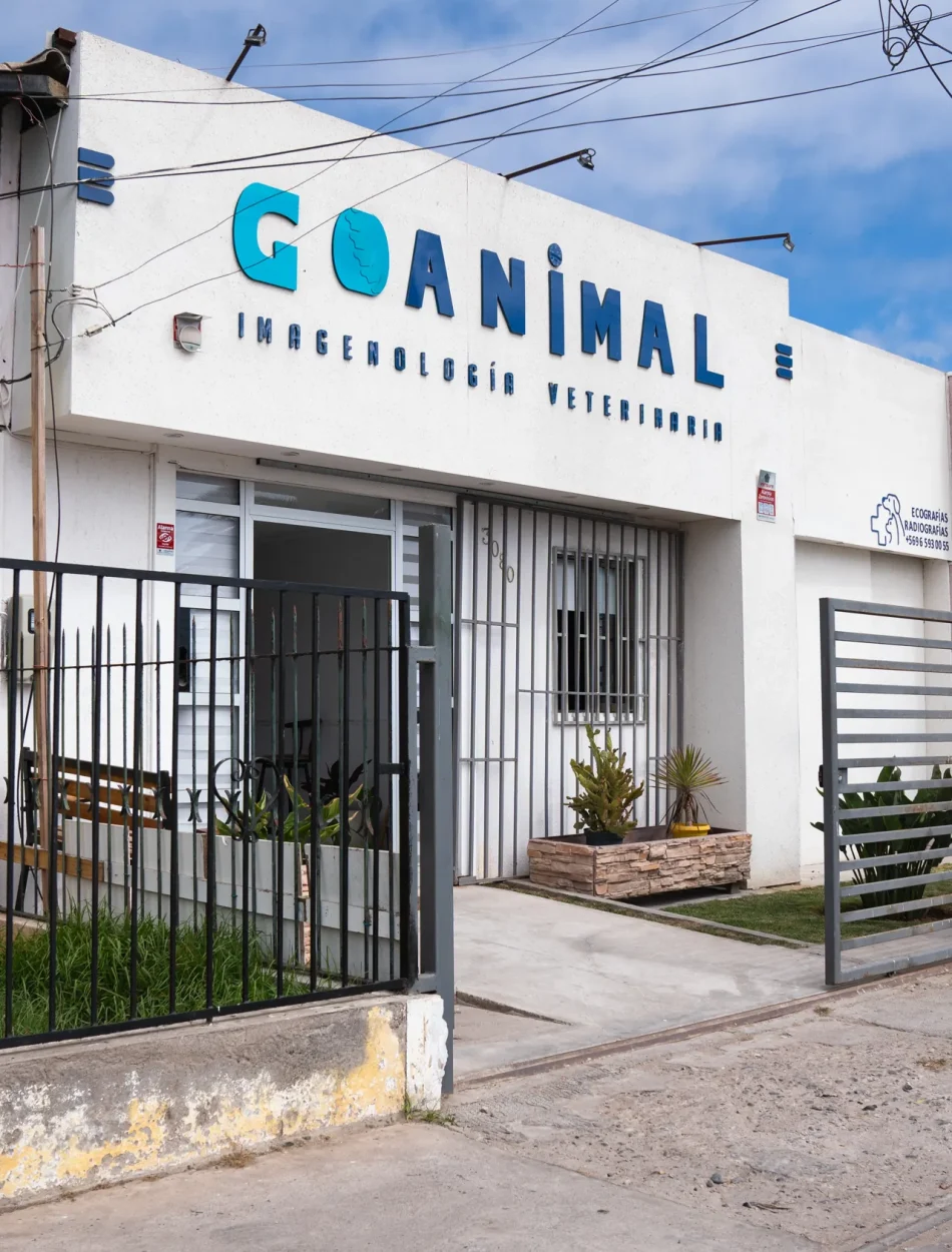 goanimal-fachada